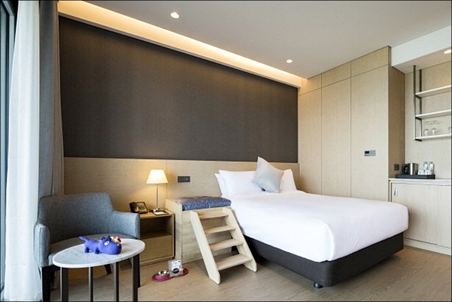 펫캉스 호텔 추천 5 : 반려동물과 함께 하는 휴가