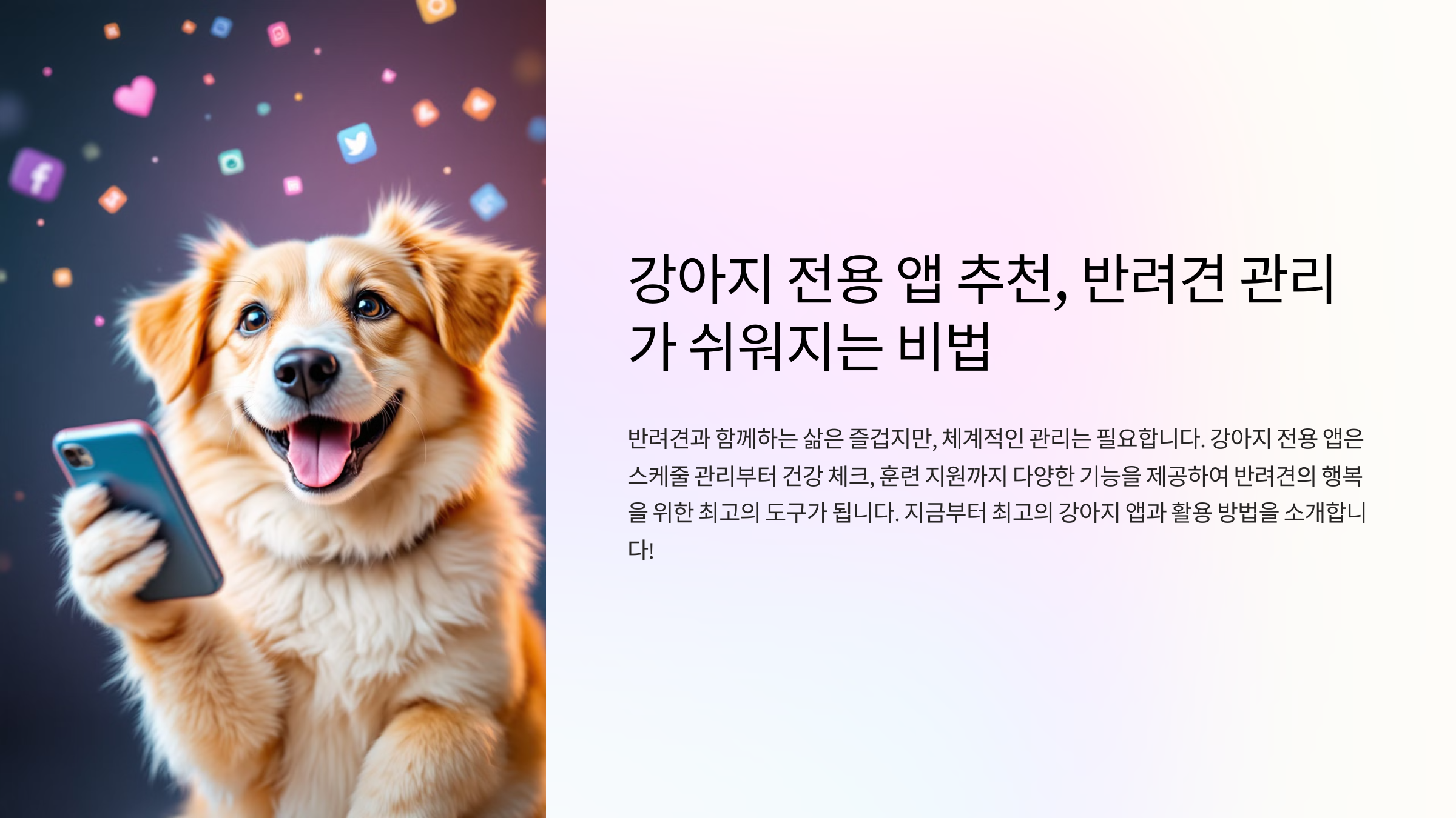 강아지 전용 앱 추천, 반려견 관리가 쉬워지는 비법