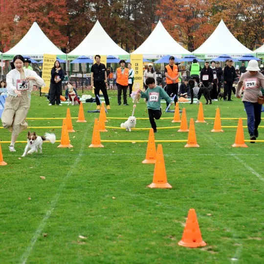 와스타디움 2024 안산 펫 페스티벌 일정 반려동물 문화 축제 프로그램 사전 신청 방법