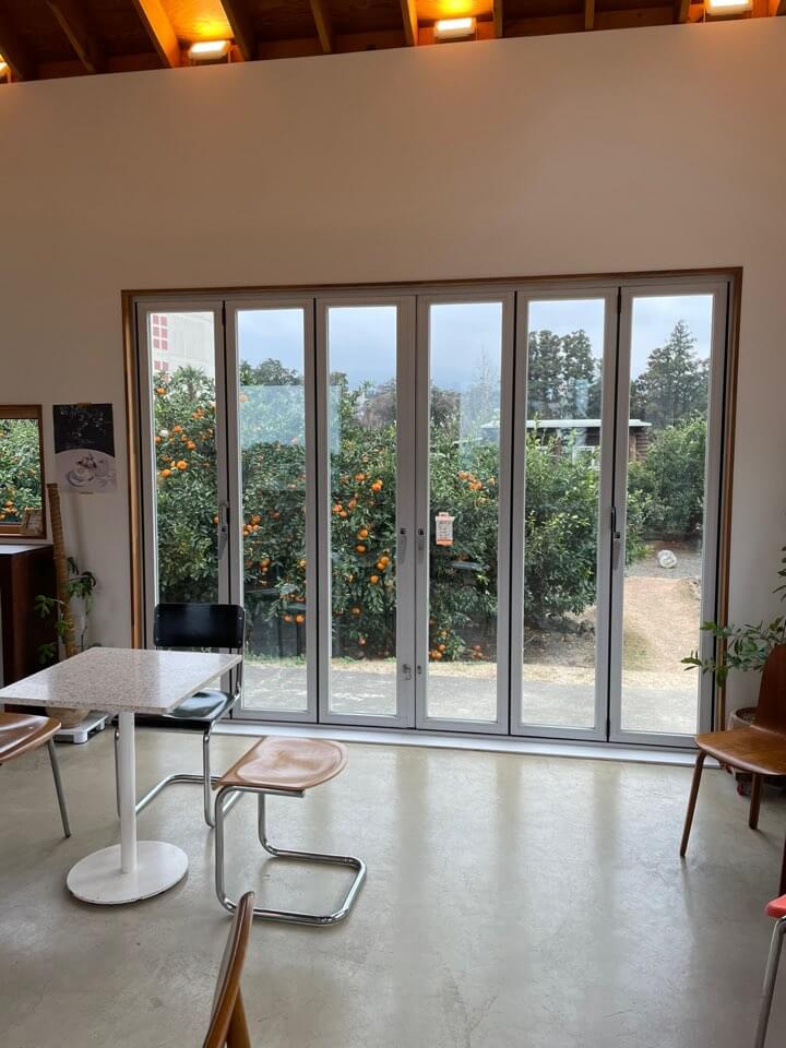 제주도-카페-추천-감귤-체험-카페