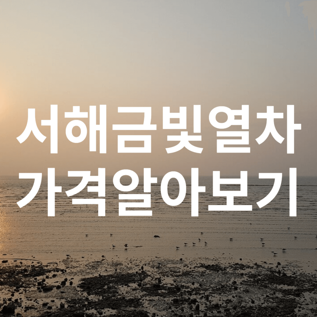 서해금빛열차 가격