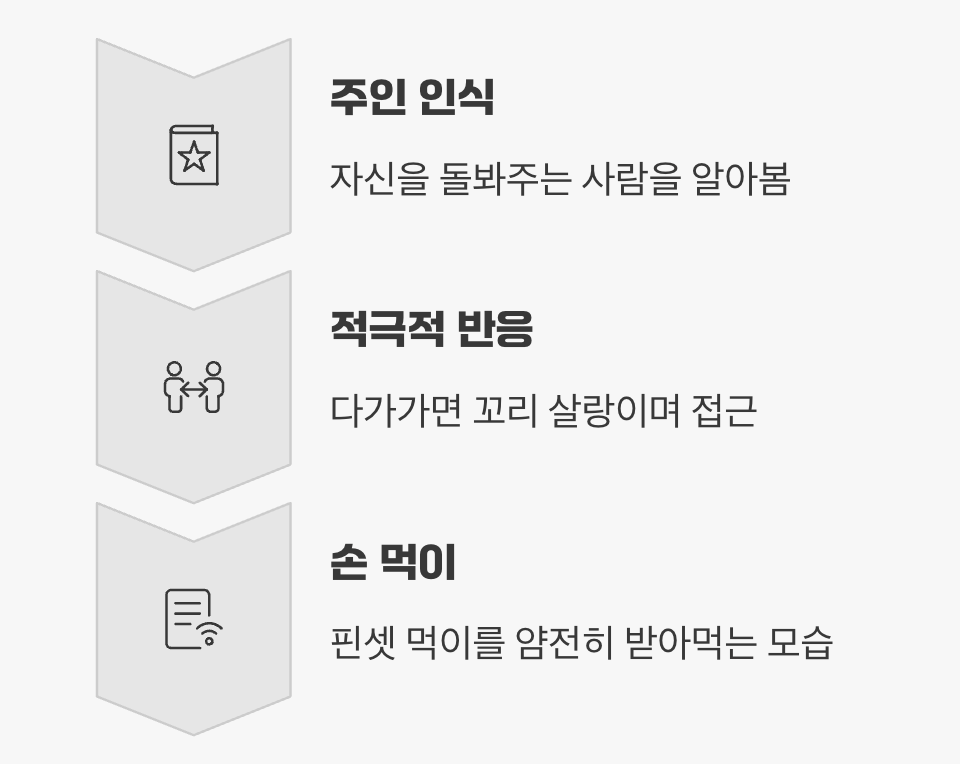 주인을 알아보는 교감, '물속의 강아지'