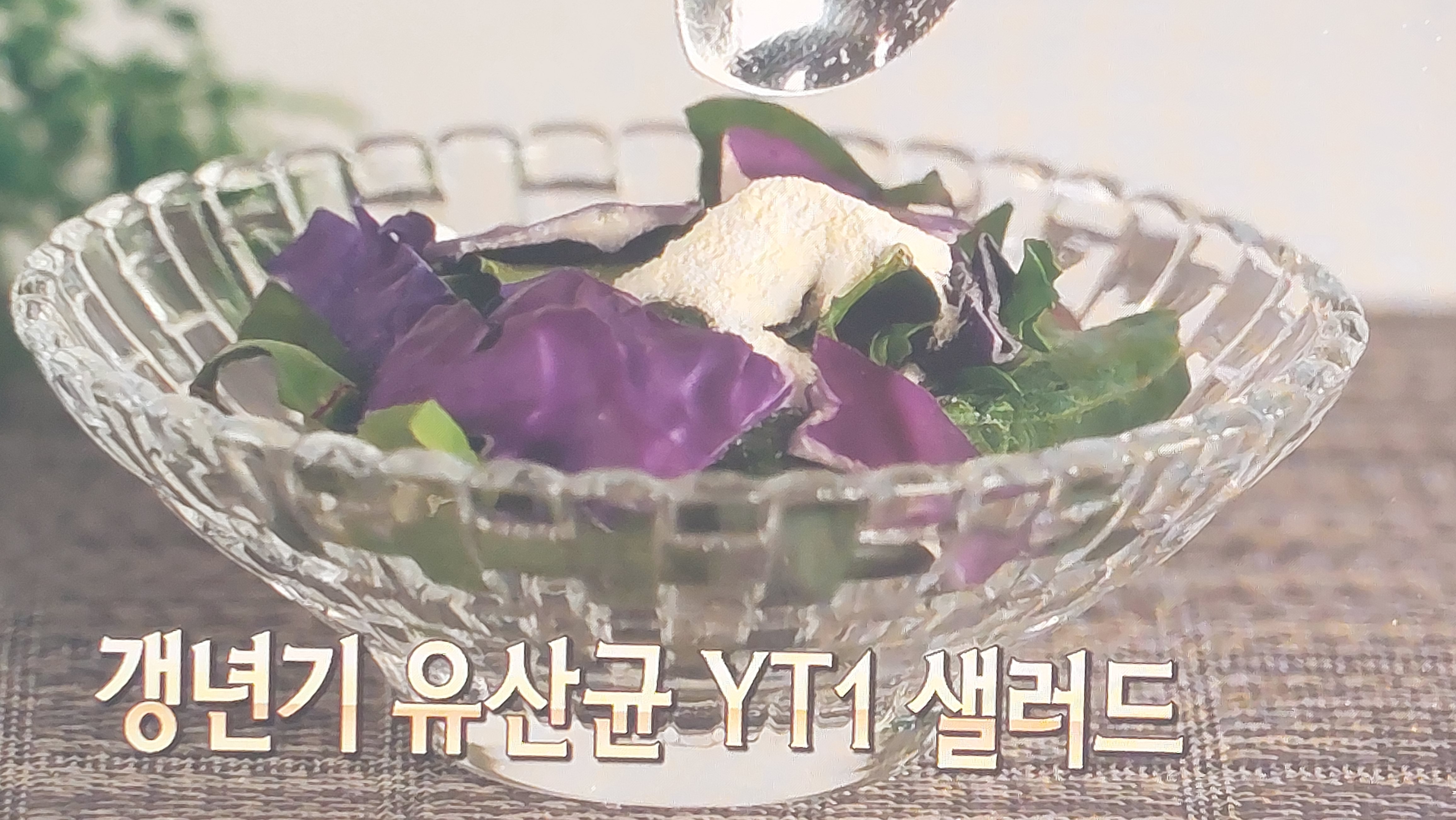 갱년기 유산균 yt1