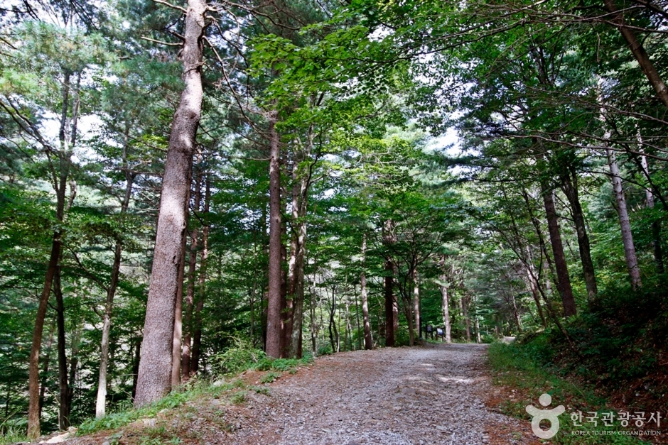 무주 가볼만한곳 베스트10