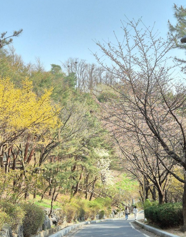 연애 초반 데이트 코스 여의도 낙산공원1