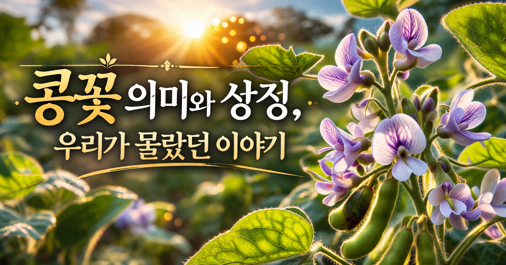 콩꽃 꽃말