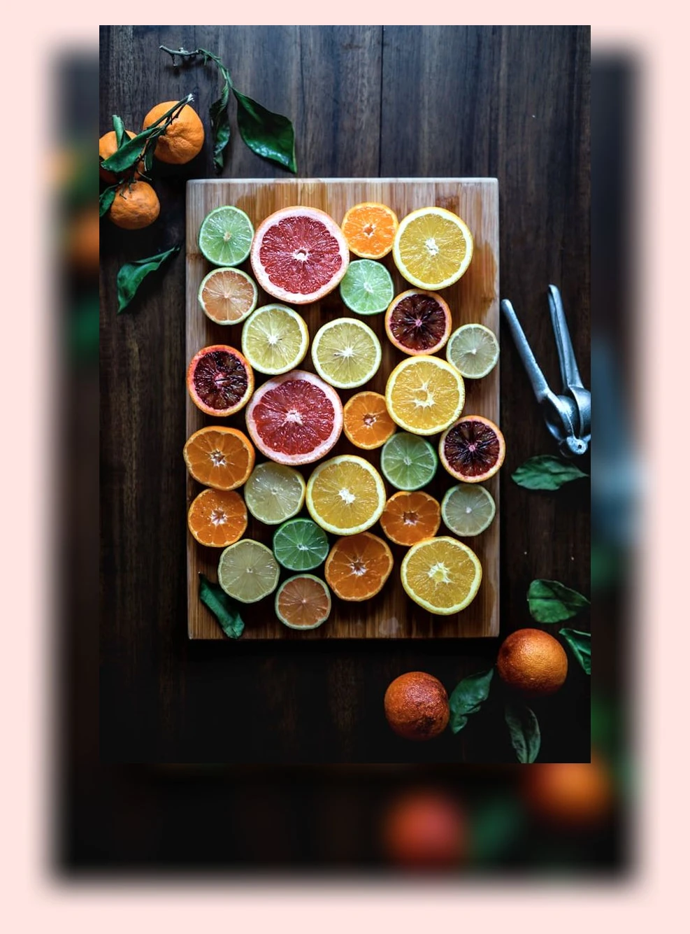 고양이 사료 보관_3_subsection