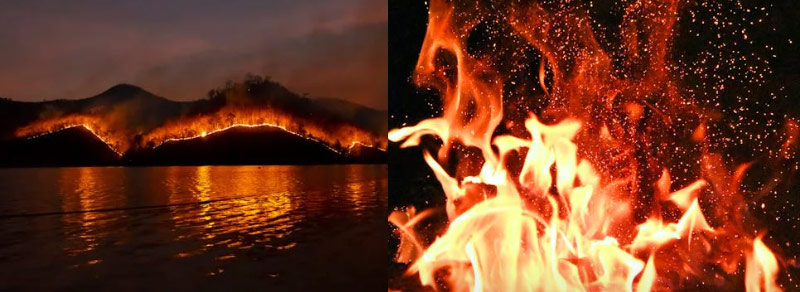 산불 원인과 발생 지역 통계 위험한 지역은?