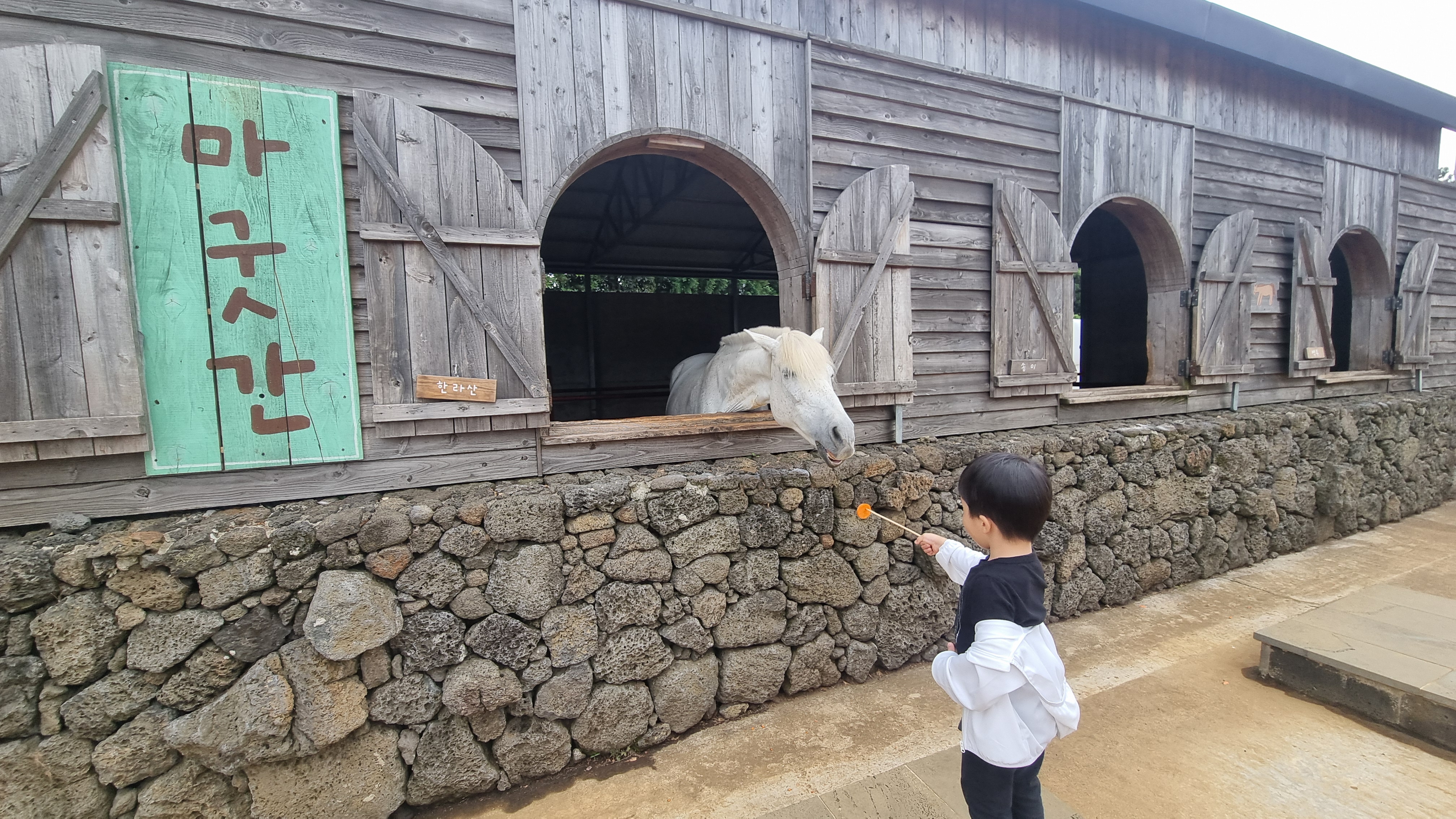 제주 목장카페 밭디