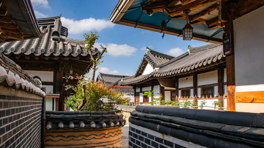 2025년 4월 국내 여행지 추천! 봄꽃과 함께 떠나는 최고의 여행지