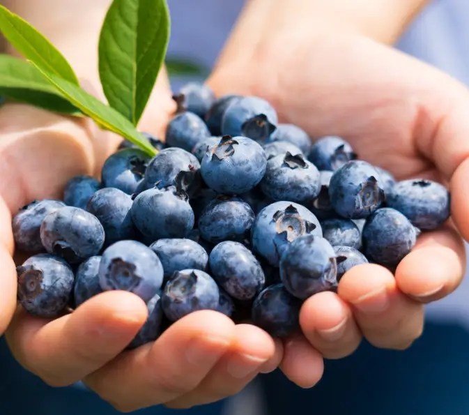 중년 혈당 스파이크 줄이는 법