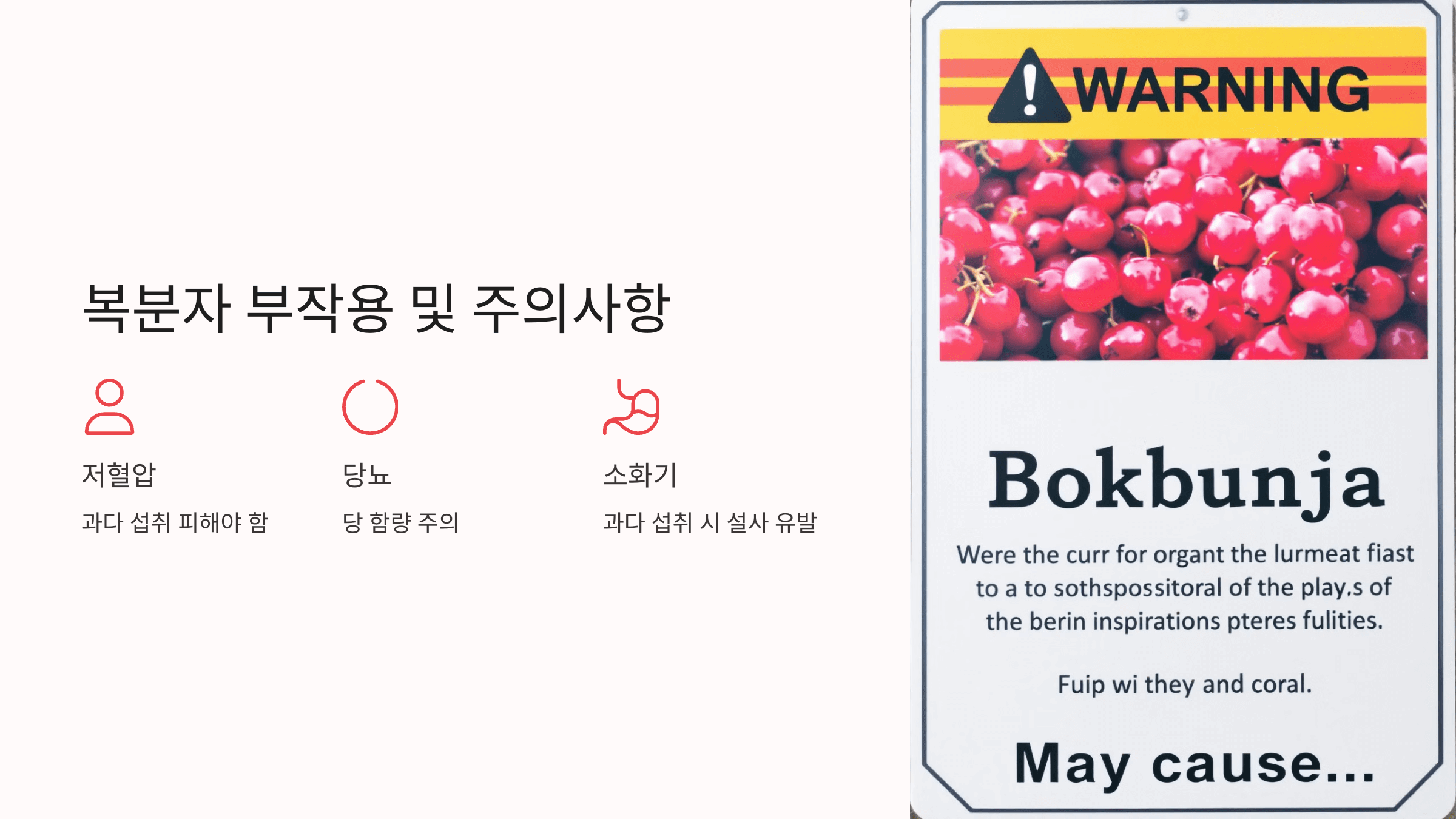 복분자 사진입니다.