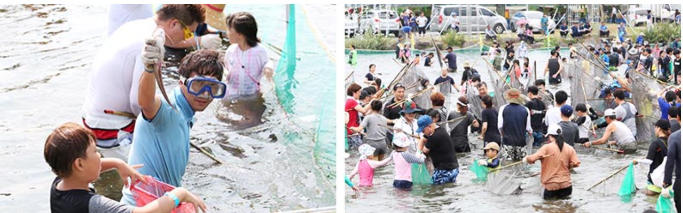 정남진 장흥 물축제