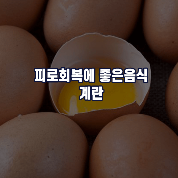 피로회복에 좋은음식 - 계란