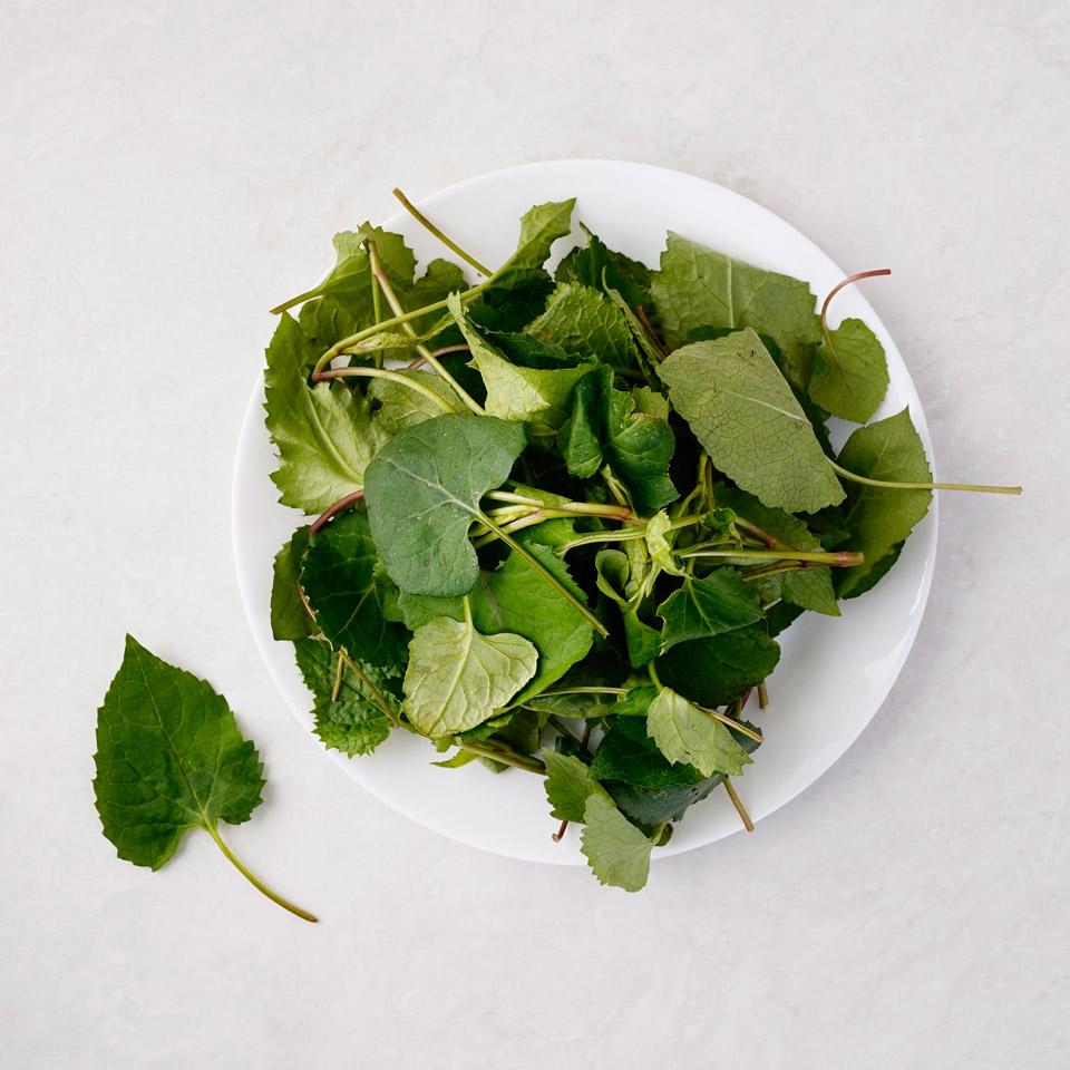 취나물 효능 및 부작용