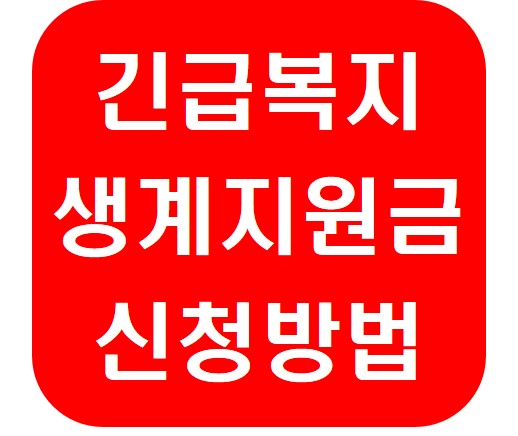 긴급생계지원금 신청하는 방법(feat. 2024 신청자격 확인방법)