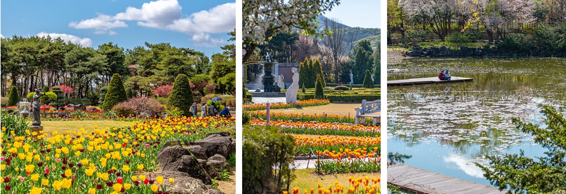 벽초지수목원 봄꽃축제❘온라인 예매 방법, 계절별 즐길 거리, 촬영지