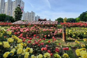 5월에 방문하는 축제 BEST 7