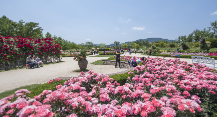 순천만 국제정원박람회 가는길 예매방법, 입장료할인