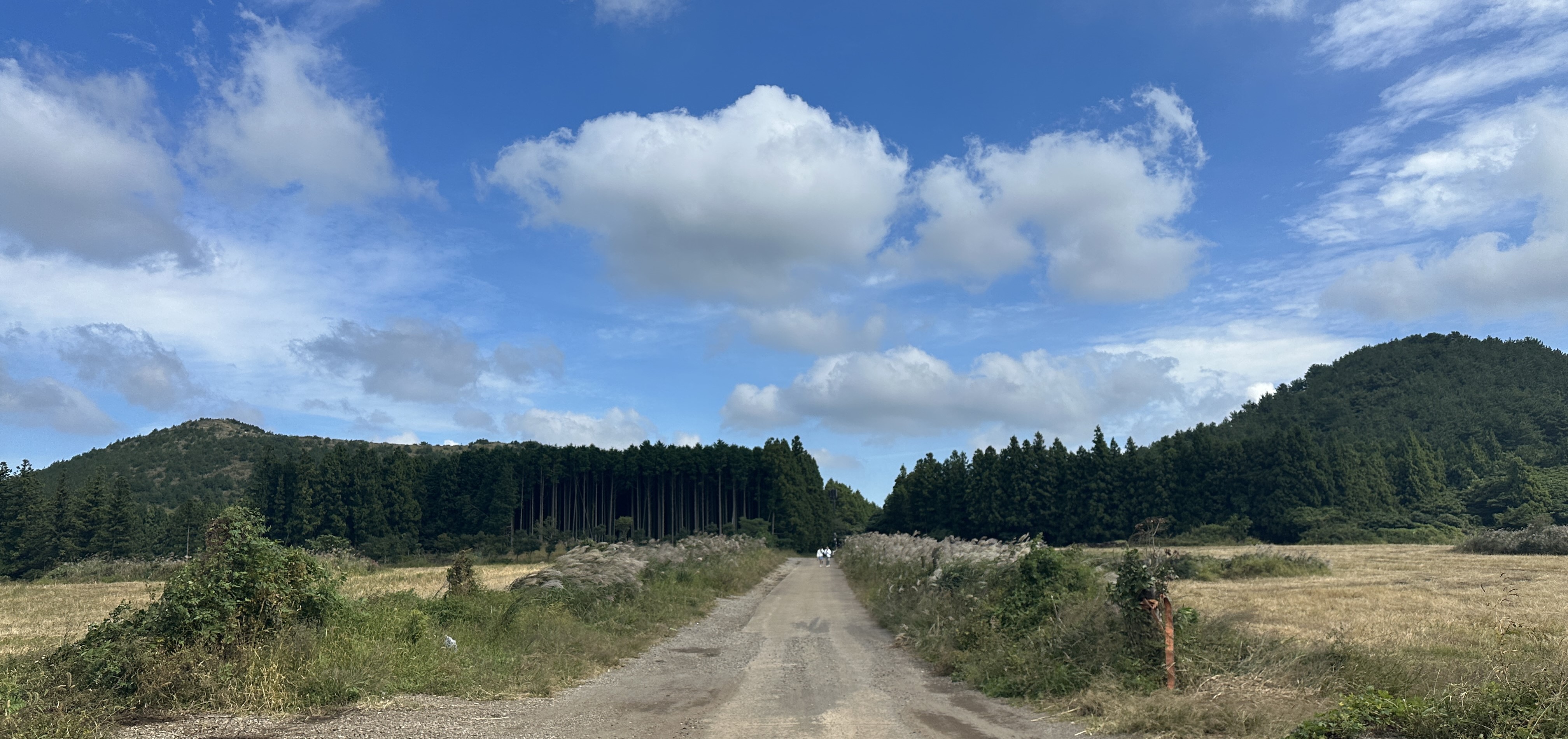 안돌오름 가는길