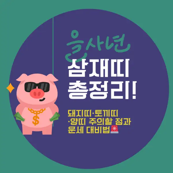 2025년 삼재띠 총정리!