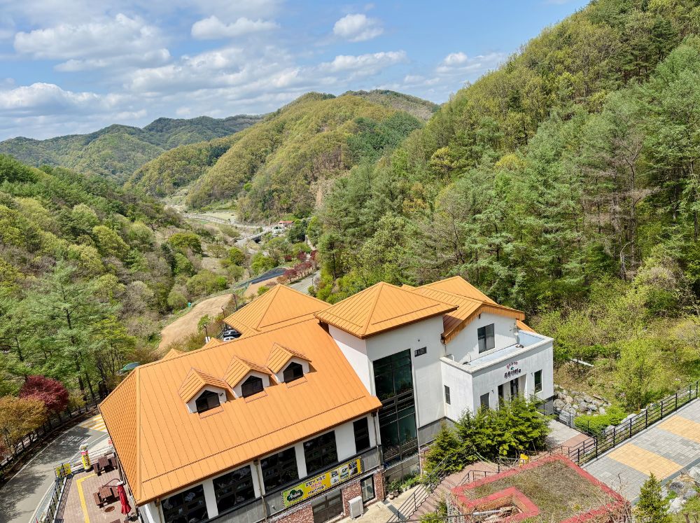 좌구산 명상구름다리 풍경