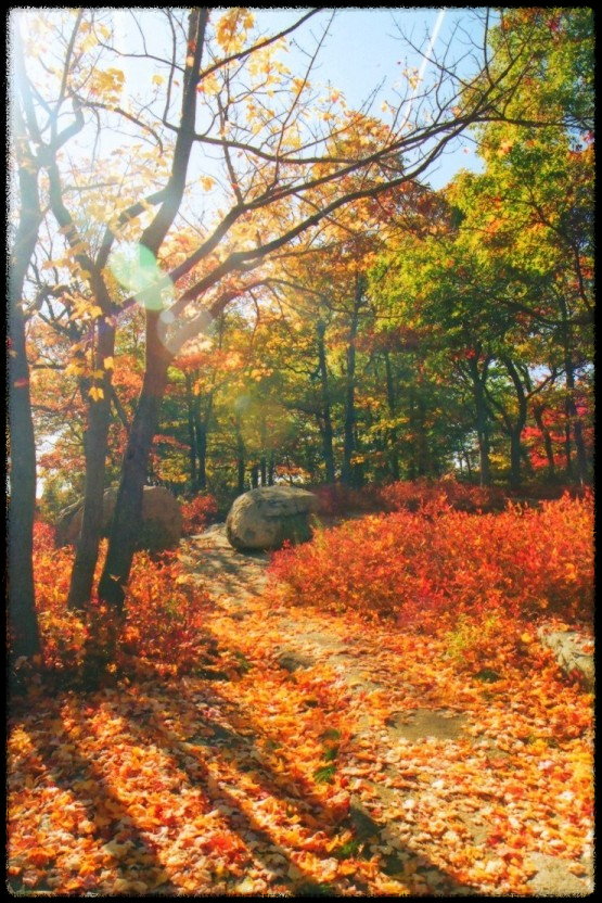 2024 가을&amp;#44; 국내 단풍 명소 추천: 절정 시기와 여행 팁까지 완벽 가이드