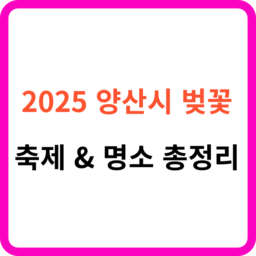 양산시 벚꽃 축제 &amp; 명소 &amp; 드라이브 코스