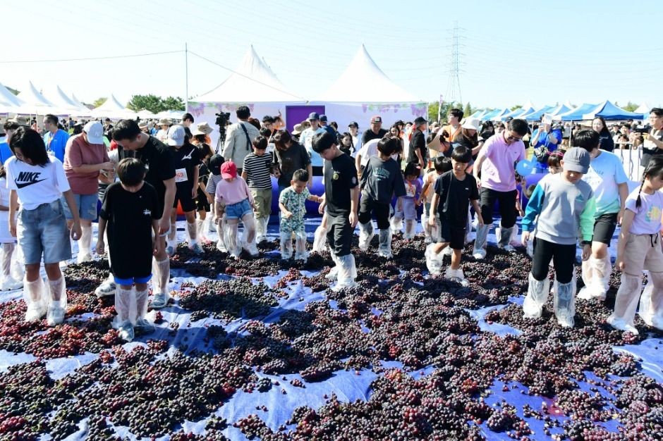 안산 대부포도축제