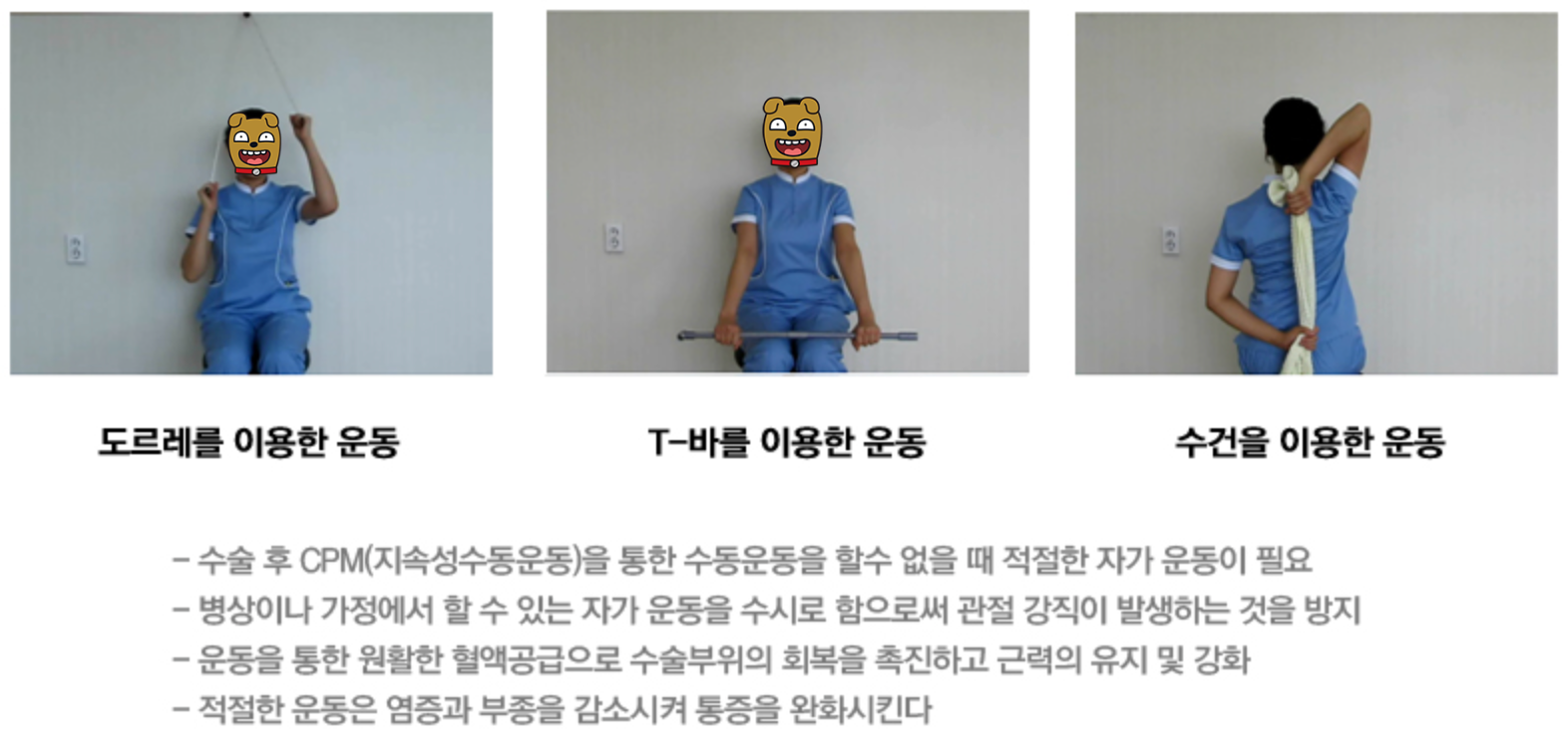 관절가동범위 회복운동