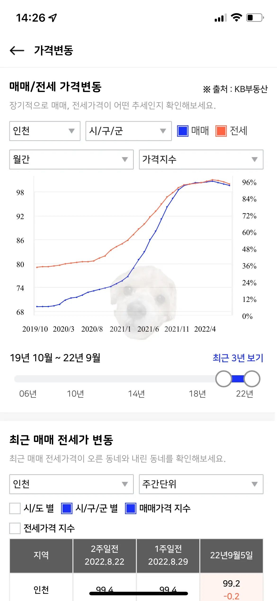 아실 가격변동 그래프