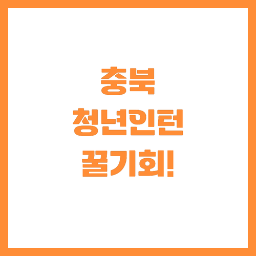 충청북도 청년인턴 모집 자격 요건과 ..