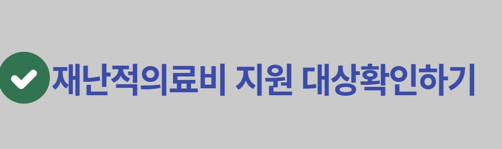 재난적의료비 지원대상 확인하기
