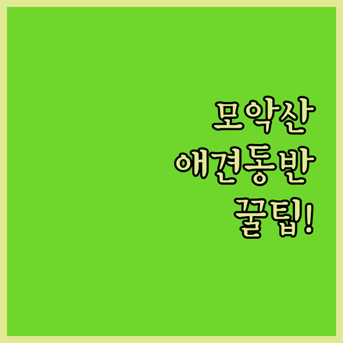 모악산 자연휴양림 애견 동반 펫티켓 ..