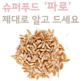 슈퍼푸드 파로