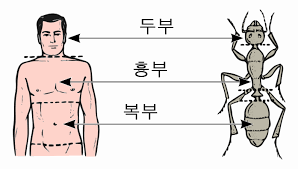 결핵 보건소에서 무료검진 대상 및 신청 방법 