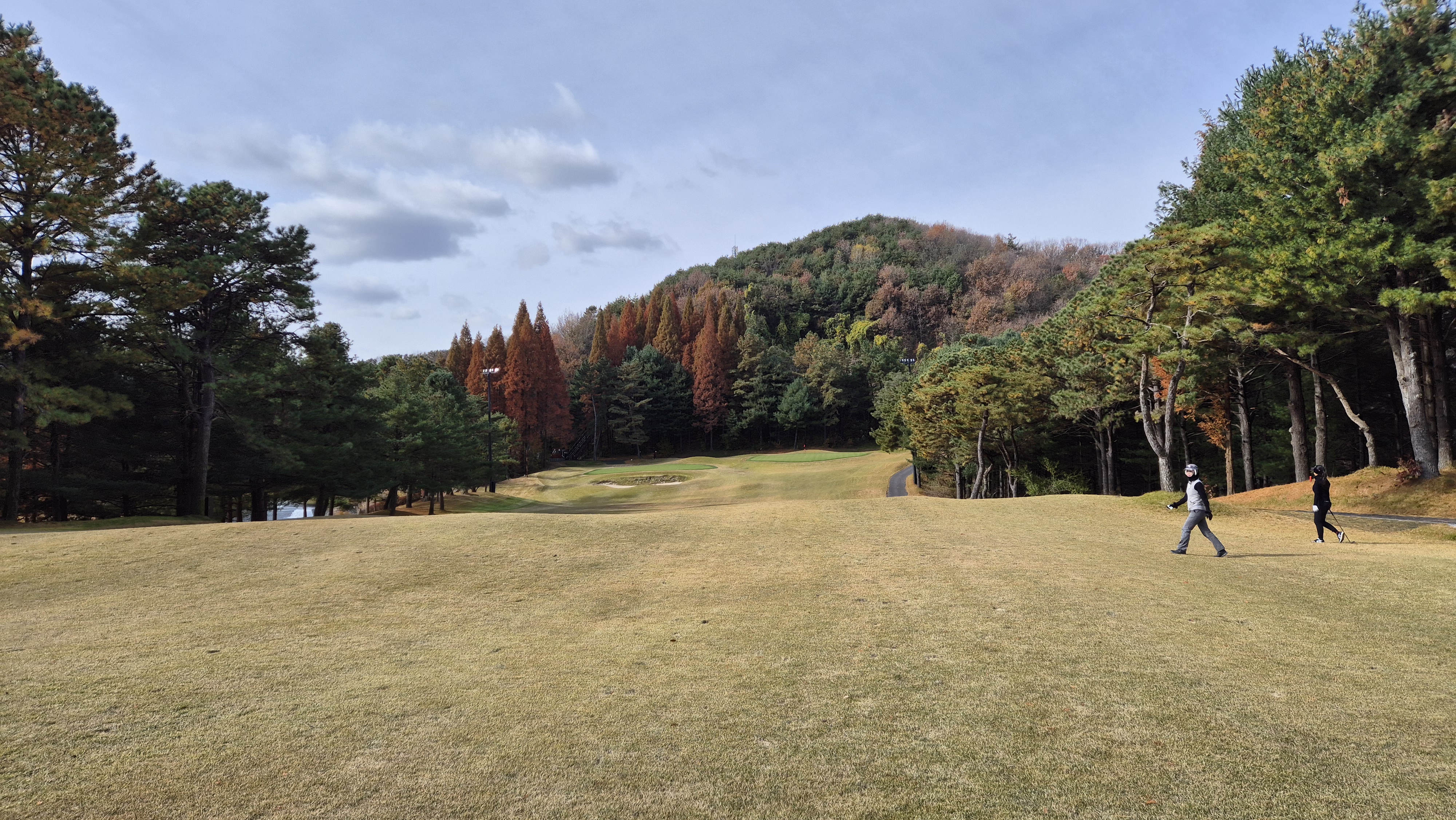 세종에머슨cc 마운틴코스 사진 및 공략 정보
