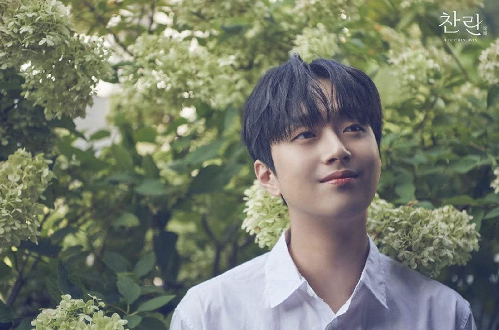 이찬원 나이 학력 키 몸무게 혈액형 가족관계 ❘ 트로트 데뷔 콘서트 인기노래