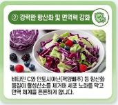 양배추즙의 효능