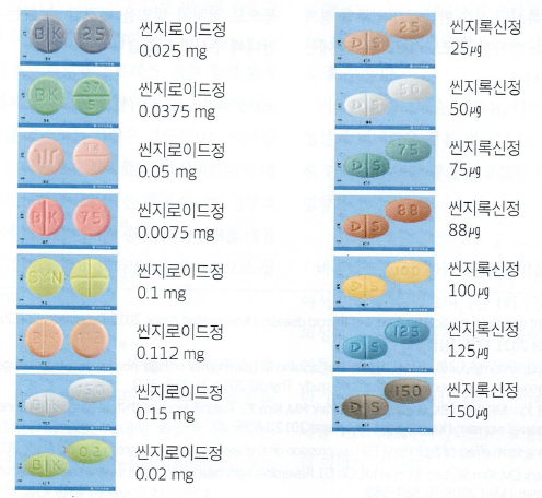 갑상선호르몬 약