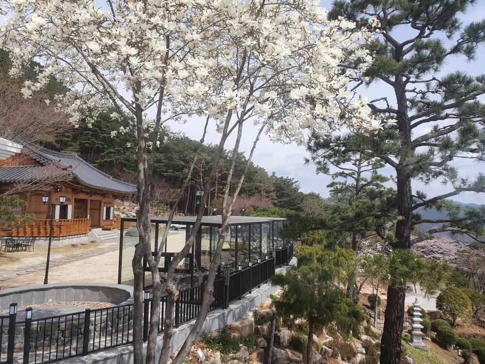 산청 방목리 카페