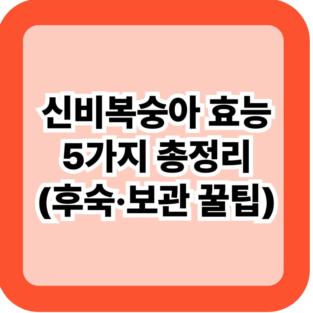 신비복숭아 효능 5가지 총정리 – 후숙·보관까지 한눈에 보는 여름 과일 가이드