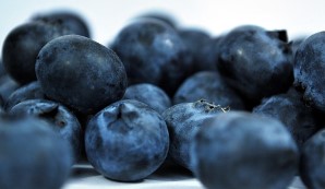 올팜 작물 난이도 정리 올웨이즈