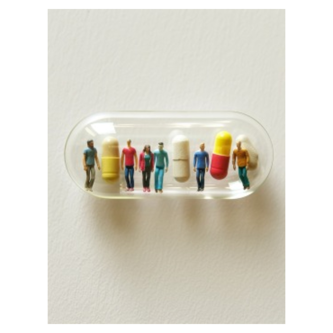 푸레파인과 관련된 사진입니다.