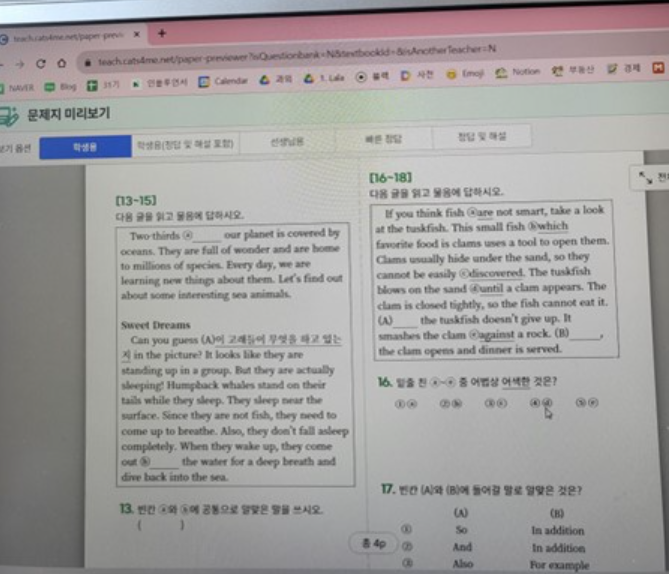 캐츠 내돈내산 효과