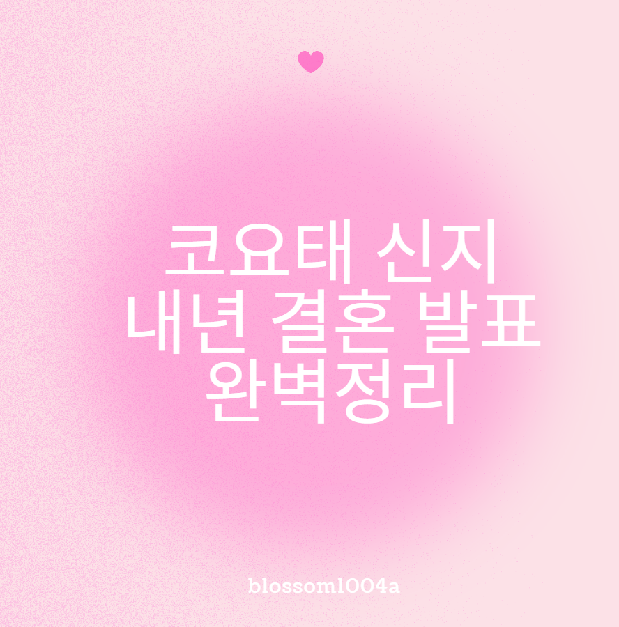 코요태 신지 내년 결혼 발표 완벽정리