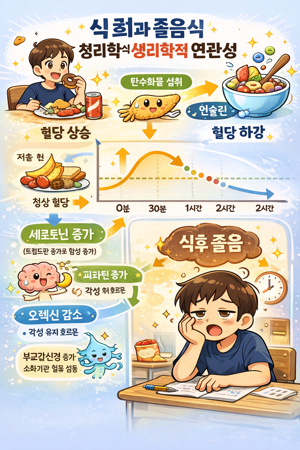 식후 혈당 변화와 졸음의 생리학적 연관성