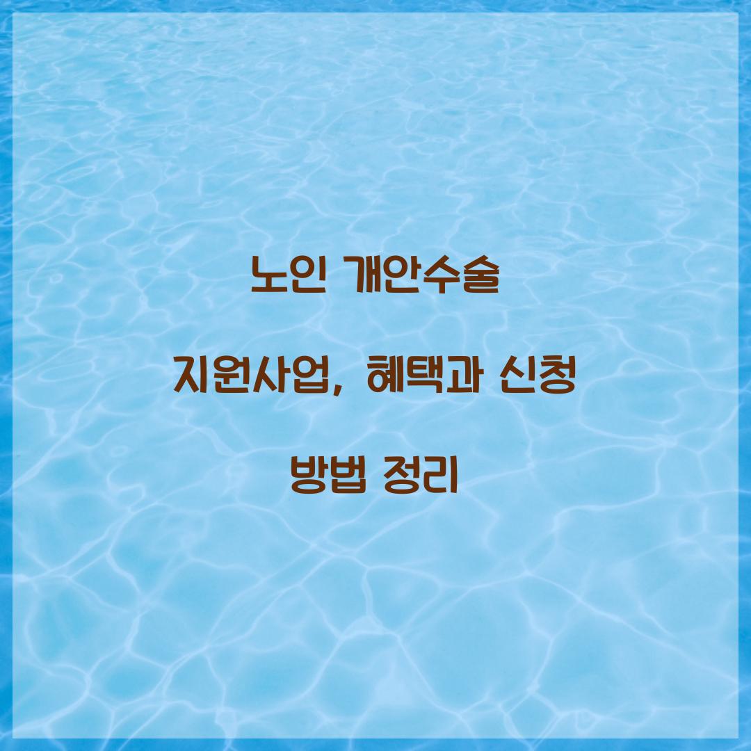 노인 개안수술 지원사업