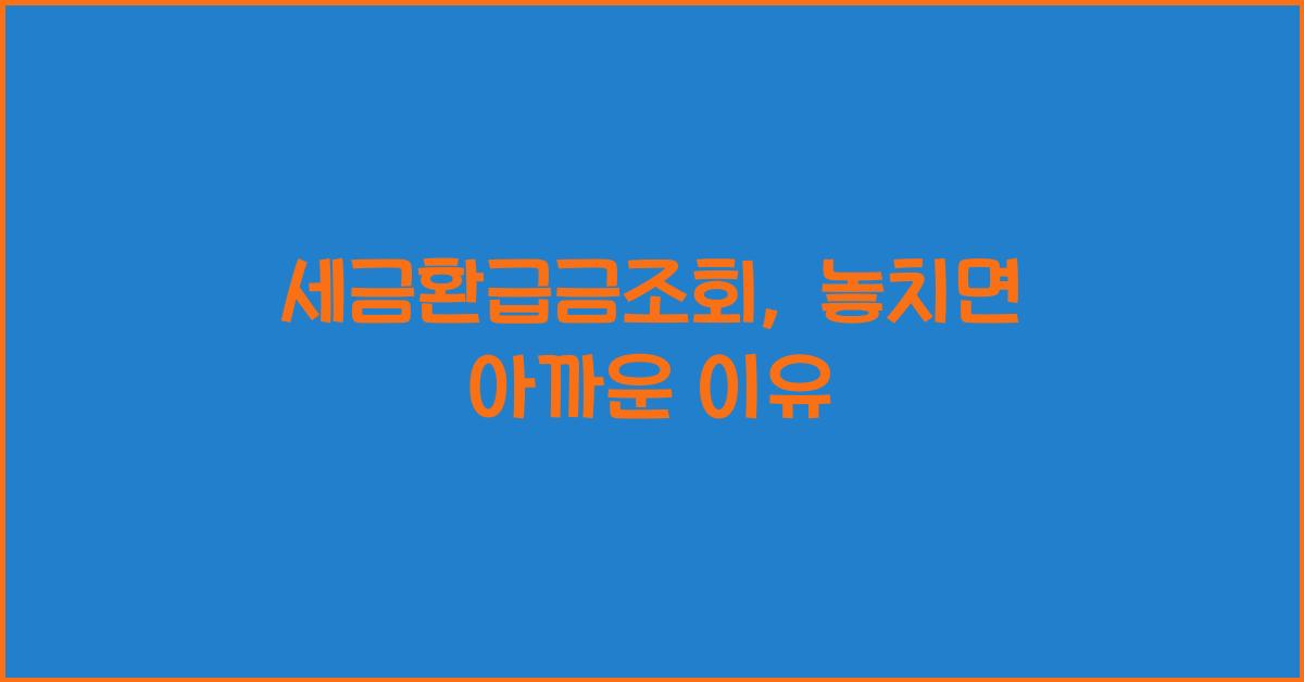세금환급금조회