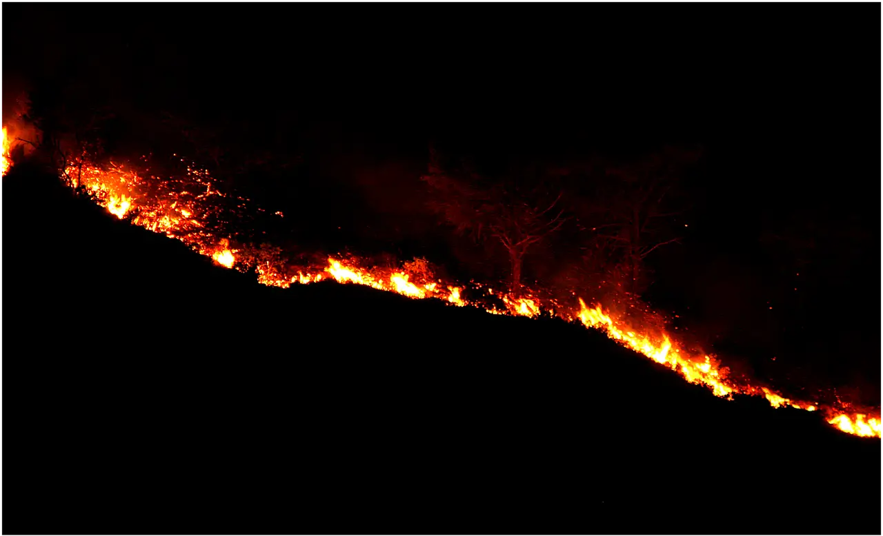 경북산불 자원봉사 신청